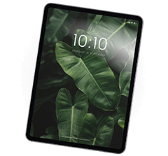 Tech Assistance